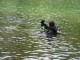 Thumbs/tn_ClearLake0607 002.jpg